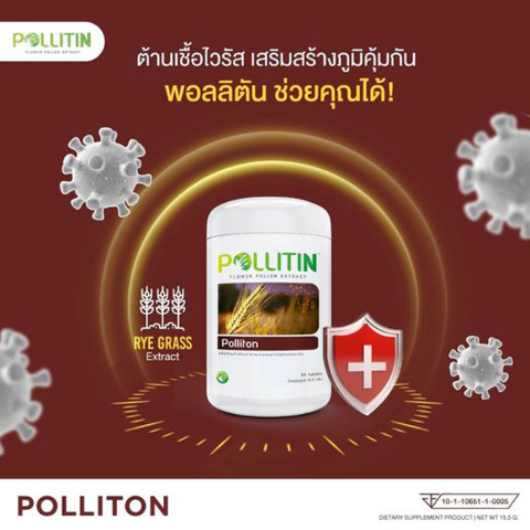 Polliton4.png