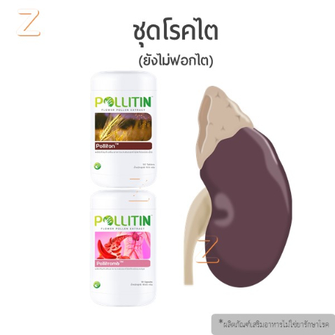 โรคไต.jpg
